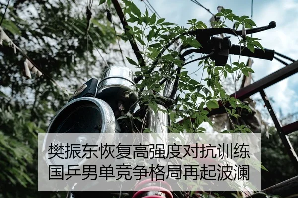 樊振东恢复高强度对抗训练 国乒男单竞争格局再起波澜